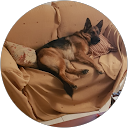 Φωτογραφία προφίλ Andreas Andreadis